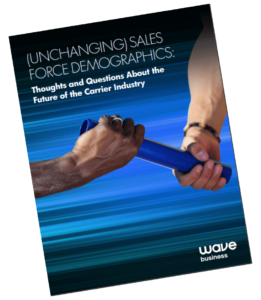 Unchanging sales force demographics - whitepaper